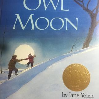 15 Owl Moon