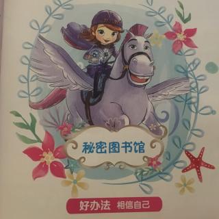 秘密图书馆