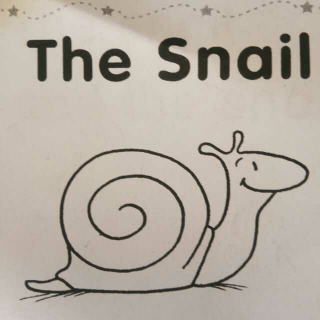 The snail