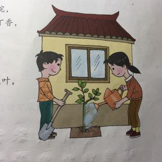 一株紫丁香
