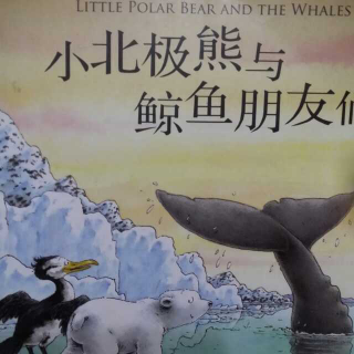 绘本：小北极熊与鲸鱼朋友们