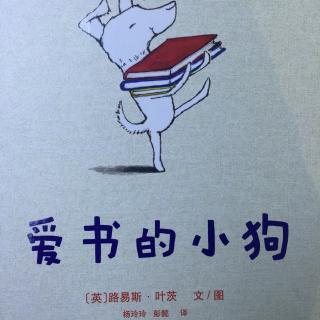 中文绘本《爱书的小狗》