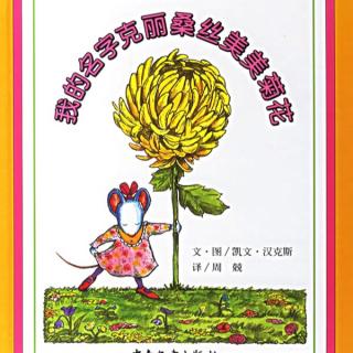 我的名字克丽桑丝美美菊花