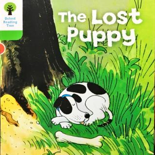 2-32 The lost puppy