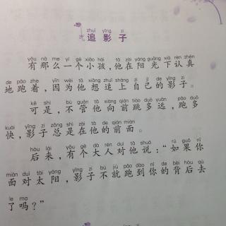 《语文同步阅读》追影子