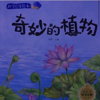 苹果树美术基地有声绘本～《奇妙的植物》