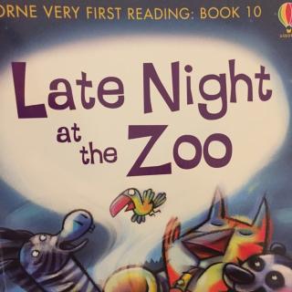 Shawn读1⃣️图-Late Night at the Zoo