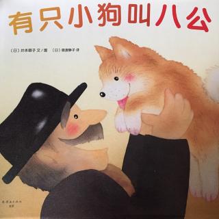 有只小狗叫八公🐶