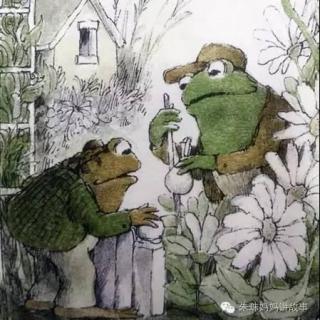 青蛙和蟾蜍-好伙伴2花园