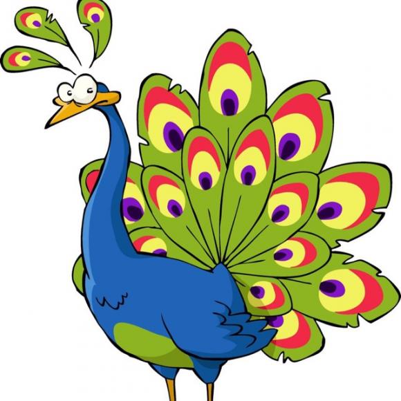 第十一期《孔雀与公鸡》