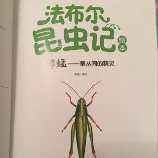 法布尔昆虫记