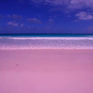 粉红少女般神秘的巴哈马群岛