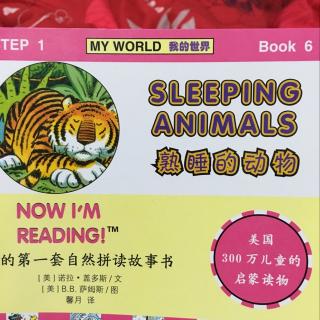 sleeping animals