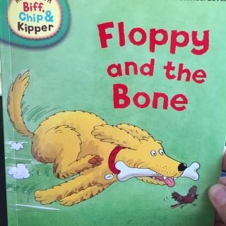 牛津阅读树第三阶Floppy and the bone中英讲解