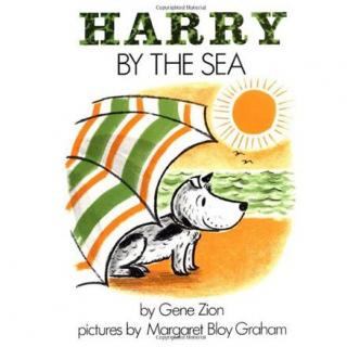 【绘本故事】哈利海边历险记-Harry By The Sea