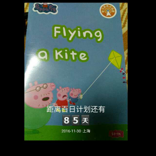 D16   20161130s1--13flying a kite