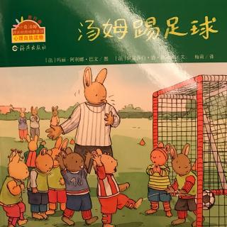 小兔汤姆系列故事《汤姆踢足球》