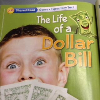 The Life of a Dollar Bill