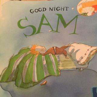 good night sam