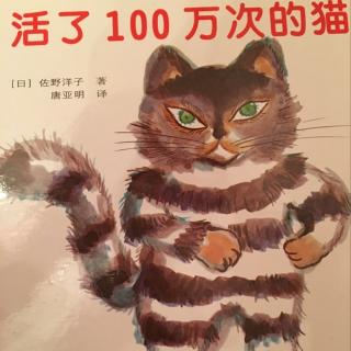 活了100万次的猫