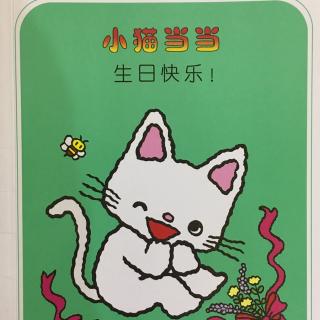 小猫当当生日快乐