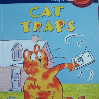 Cat traps(song)