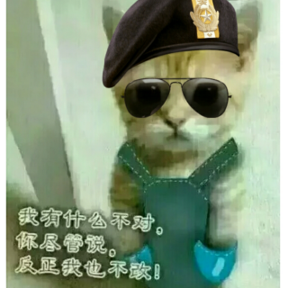 小猫