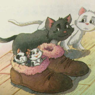 王一梅精品童话《住在楼上的猫🐱》