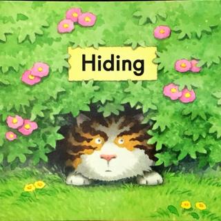 39 Hiding