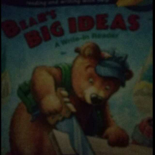 Bear's BIG IDEAS