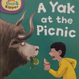 Fiona讲故事-A Yak at the Picnic