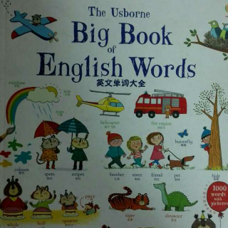 Big book of English words4