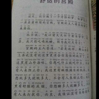 《舒适的宫殿》