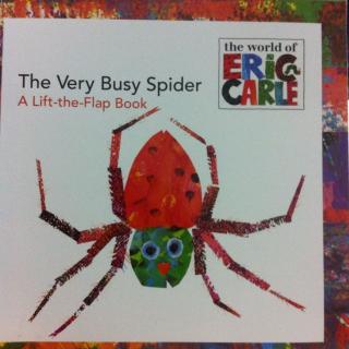 the very busy spider