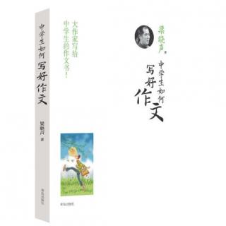 12 中学生如何学好作文-梁晓声 第八章 议论文怎样议、怎样论？