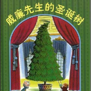 威廉先生的圣诞树🎄～肖肖