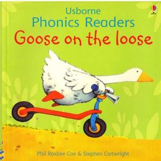 【Andy读绘本】Goose on the loose - Usborne Phonics Readers