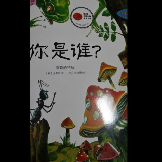 你是谁？