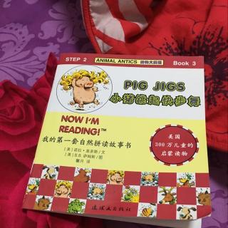 pig jigs 