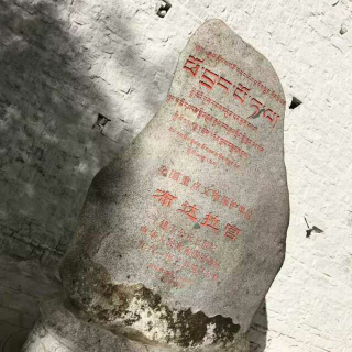 你只是路过我的世界