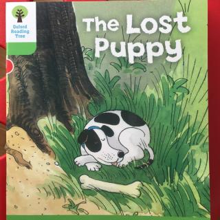 The lost puppy-by Moli