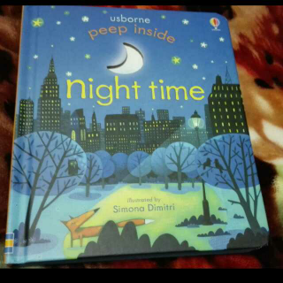 UsbornePeepInside系列 night time