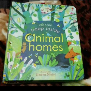 UsbornePeepInside系列 animal homes