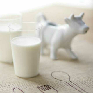 纯白色的牛奶爱情