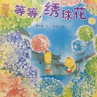 190.等等绣球花🌼