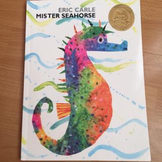 Mister Seahorse 2016.12.04