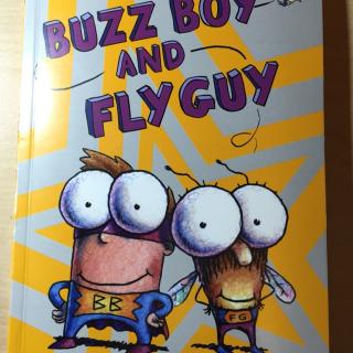 Buzz boy and fly guy