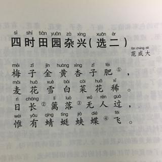 62,四时田园杂兴(二)宋 范成大