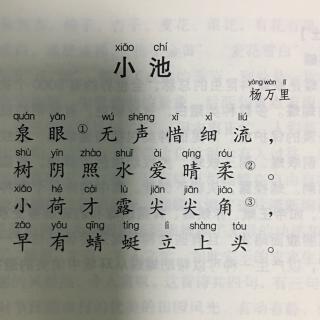 63、小池（南宋 杨万里）