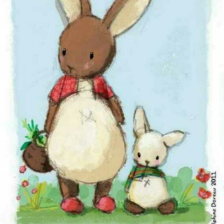 大兔子和小兔子的故事